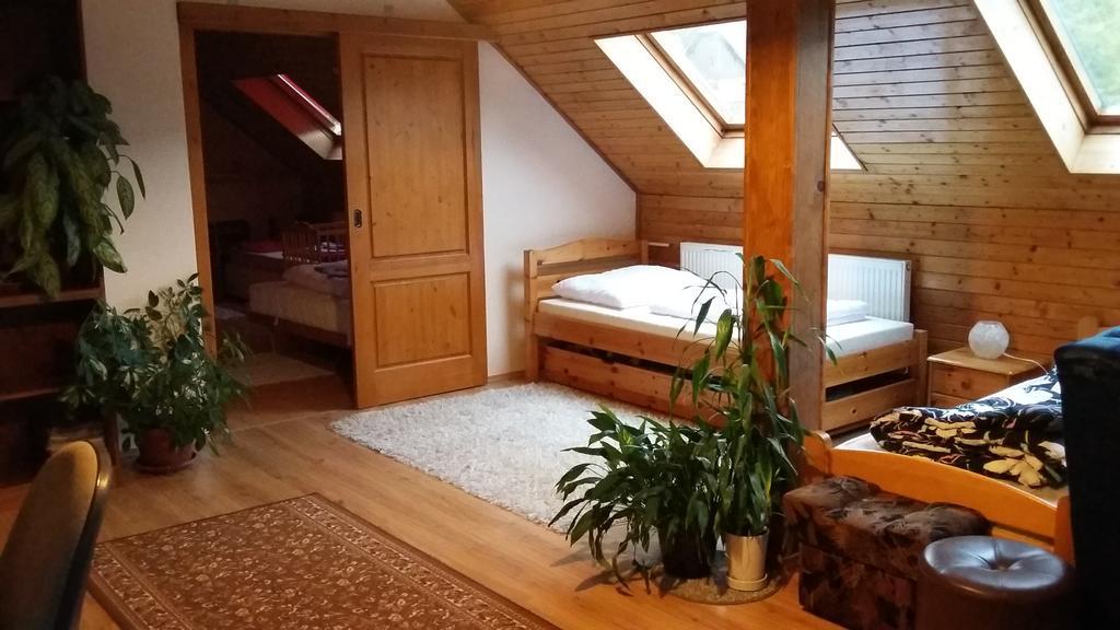 Apartment Rychtrovna Hejnice Extérieur photo